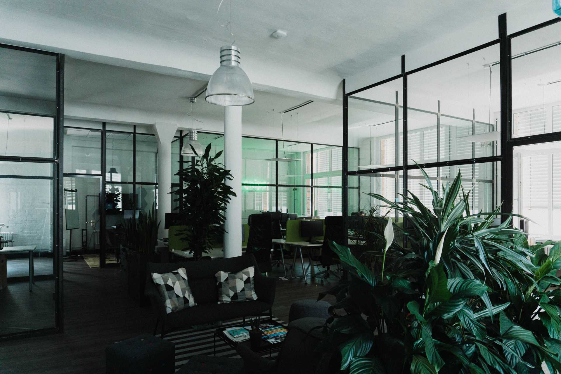 View of qnips office with green plants, a sitting area and glass walls